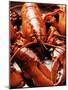 Boiled Lobsters-null-Mounted Premium Photographic Print