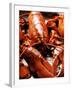 Boiled Lobsters-null-Framed Photographic Print