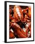 Boiled Lobsters-null-Framed Photographic Print
