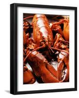 Boiled Lobsters-null-Framed Photographic Print