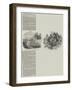 Boiler Explosion, Large Loss of Life-null-Framed Giclee Print