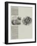 Boiler Explosion, Large Loss of Life-null-Framed Giclee Print