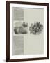 Boiler Explosion, Large Loss of Life-null-Framed Giclee Print