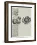 Boiler Explosion, Large Loss of Life-null-Framed Giclee Print