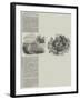 Boiler Explosion, Large Loss of Life-null-Framed Giclee Print