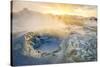 Boiling Mud Pots in Geothermal Area, Iceland-Arctic-Images-Stretched Canvas