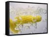 Boiling Sweetcorn, 2003-Norman Hollands-Framed Stretched Canvas