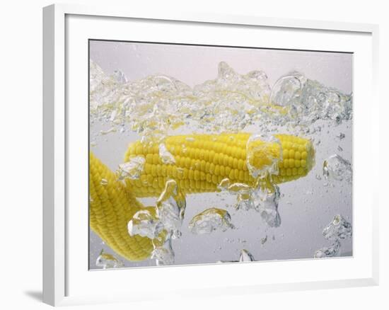 Boiling Sweetcorn, 2003-Norman Hollands-Framed Photographic Print