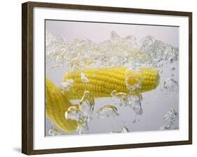 Boiling Sweetcorn, 2003-Norman Hollands-Framed Photographic Print