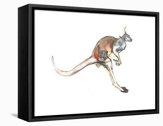 Boing, (Red Kangaroo), 2012-Mark Adlington-Framed Stretched Canvas