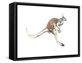 Boing, (Red Kangaroo), 2012-Mark Adlington-Framed Stretched Canvas