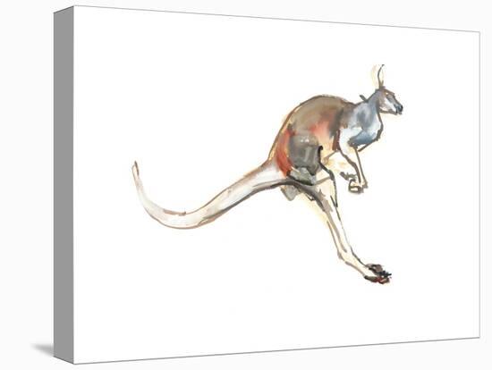 Boing, (Red Kangaroo), 2012-Mark Adlington-Stretched Canvas