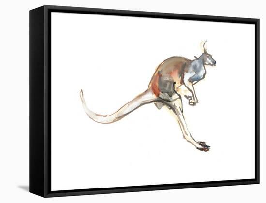 Boing, (Red Kangaroo), 2012-Mark Adlington-Framed Stretched Canvas