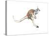 Boing, (Red Kangaroo), 2012-Mark Adlington-Stretched Canvas