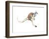 Boing, (Red Kangaroo), 2012-Mark Adlington-Framed Premium Giclee Print