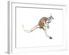 Boing, (Red Kangaroo), 2012-Mark Adlington-Framed Giclee Print