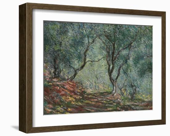 Bois D'Oliviers Au Jardin Moreno, 1884-Claude Monet-Framed Giclee Print