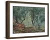 Bois D'Oliviers Au Jardin Moreno, 1884-Claude Monet-Framed Giclee Print