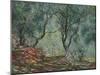 Bois D'Oliviers Au Jardin Moreno, 1884-Claude Monet-Mounted Giclee Print