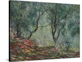 Bois D'Oliviers Au Jardin Moreno, 1884-Claude Monet-Stretched Canvas