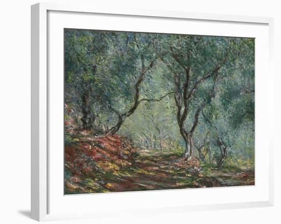 Bois D'Oliviers Au Jardin Moreno, 1884-Claude Monet-Framed Giclee Print