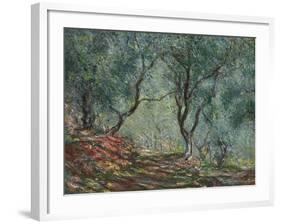 Bois D'Oliviers Au Jardin Moreno, 1884-Claude Monet-Framed Giclee Print