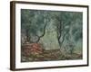 Bois D'Oliviers Au Jardin Moreno, 1884-Claude Monet-Framed Giclee Print