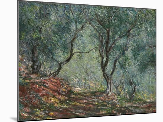 Bois D'Oliviers Au Jardin Moreno, 1884-Claude Monet-Mounted Giclee Print