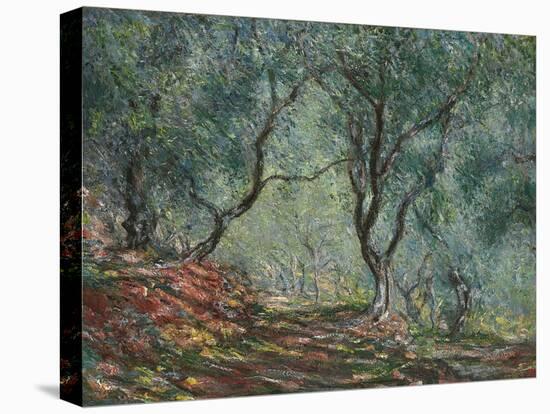 Bois D'Oliviers Au Jardin Moreno, 1884-Claude Monet-Stretched Canvas