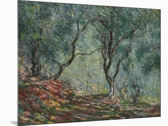 Bois D'Oliviers Au Jardin Moreno, 1884-Claude Monet-Mounted Giclee Print