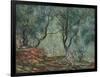 Bois D'Oliviers Au Jardin Moreno, 1884-Claude Monet-Framed Giclee Print