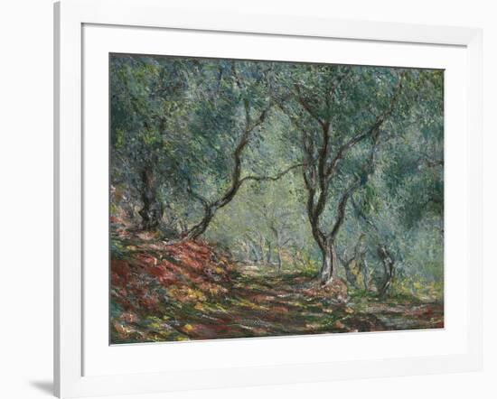 Bois D'Oliviers Au Jardin Moreno, 1884-Claude Monet-Framed Giclee Print