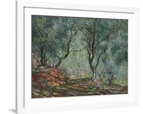 Bois D'Oliviers Au Jardin Moreno, 1884-Claude Monet-Framed Giclee Print