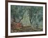 Bois D'Oliviers Au Jardin Moreno, 1884-Claude Monet-Framed Giclee Print