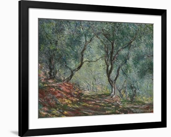 Bois D'Oliviers Au Jardin Moreno, 1884-Claude Monet-Framed Giclee Print