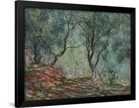 Bois D'Oliviers Au Jardin Moreno, 1884-Claude Monet-Framed Giclee Print