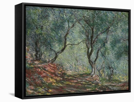 Bois D'Oliviers Au Jardin Moreno, 1884-Claude Monet-Framed Stretched Canvas