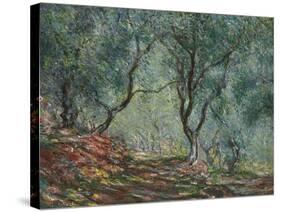 Bois D'Oliviers Au Jardin Moreno, 1884-Claude Monet-Stretched Canvas