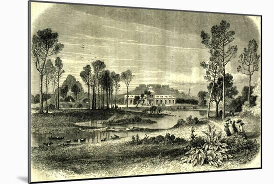 Bois De Boulogne Paris 19th Century-null-Mounted Giclee Print