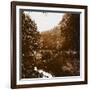 Bois-null-Framed Giclee Print