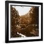 Bois-null-Framed Giclee Print