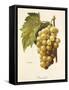 Boisselot Grape-A. Kreyder-Framed Stretched Canvas