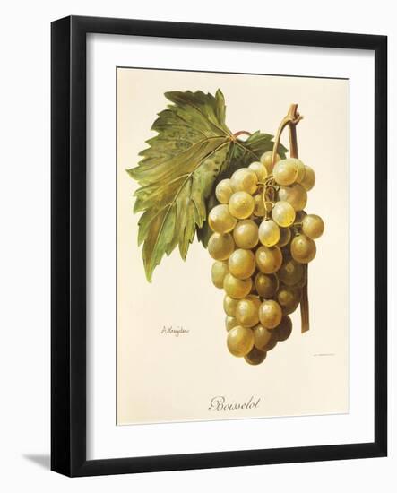 Boisselot Grape-A. Kreyder-Framed Giclee Print
