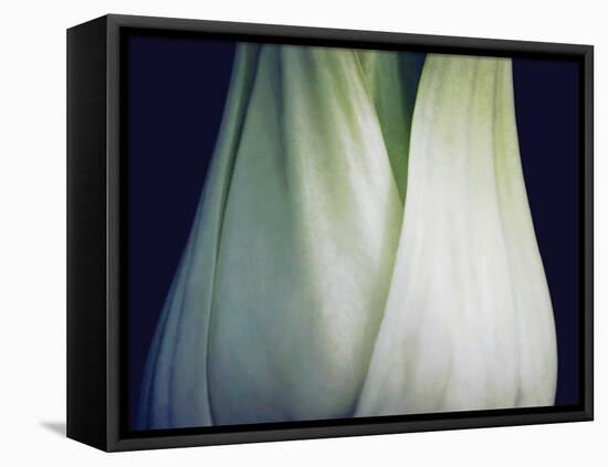 Bok Choy I-Jim Christensen-Framed Stretched Canvas