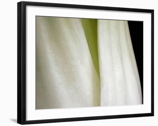 Bok Choy II-Jim Christensen-Framed Photographic Print