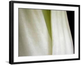 Bok Choy II-Jim Christensen-Framed Photographic Print