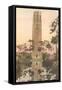 Bok Tower, Lake Wales, Florida-null-Framed Stretched Canvas