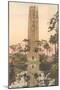 Bok Tower, Lake Wales, Florida-null-Mounted Art Print