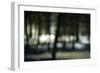 Bokeh Dream-Studio 2-Framed Art Print