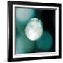 Bokeh I-Studio 2-Framed Photographic Print